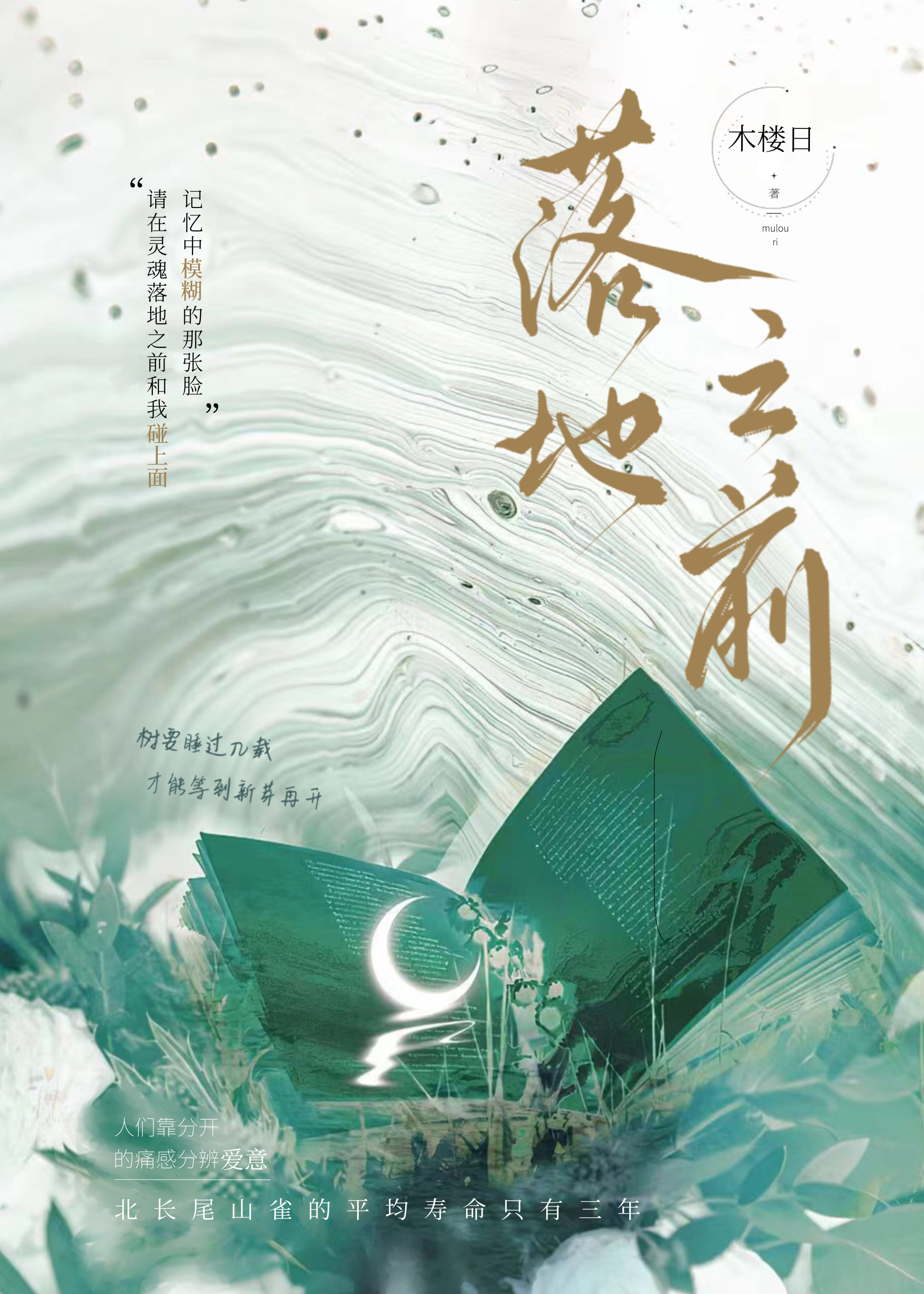 落地之前小说