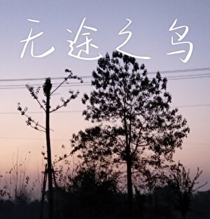 无途歌曲免费听