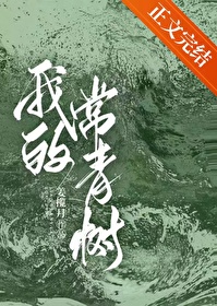做我的常青树免费阅读姜揽月
