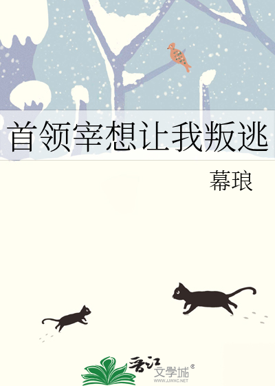 南雁北飞歌曲