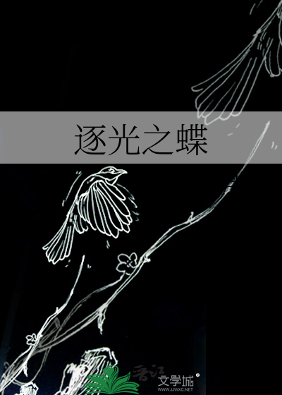 逐光 攻略