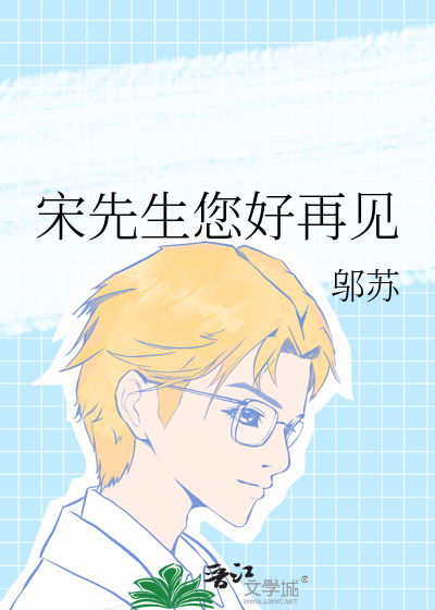 宋先生的视频