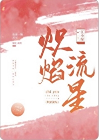 炽焰流星txt