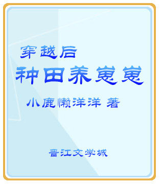 穿越种田养娃小说