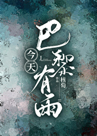今天巴黎有雨po讲的什么