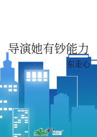 导演她有钞能力免费阅读