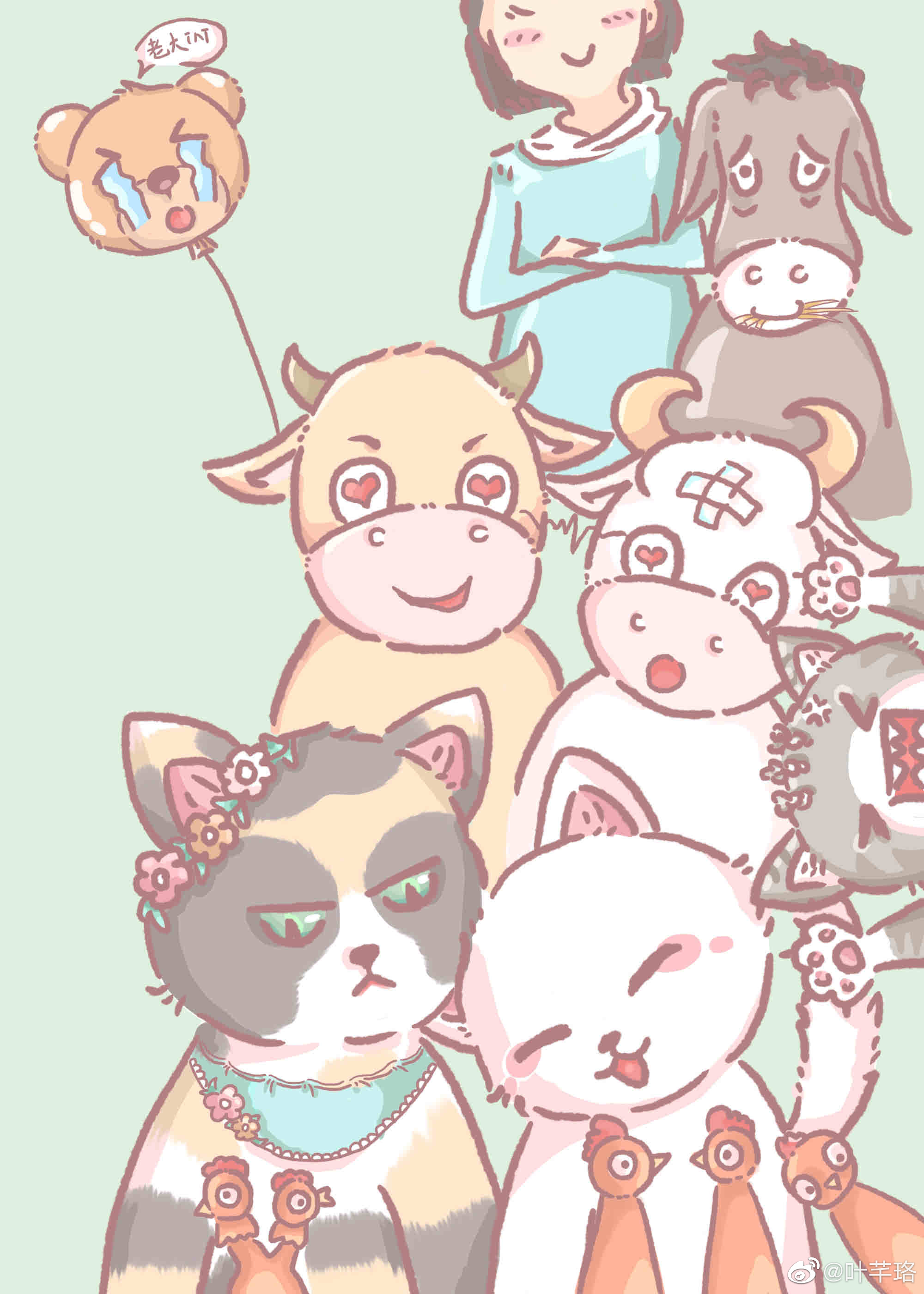 玳瑁猫多不多