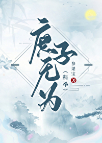 庶子科举日常