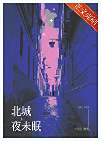 北城夜未眠小说分段阅读