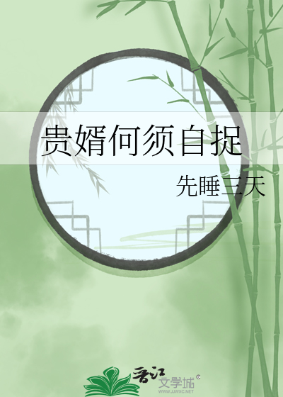 贵婿 小说