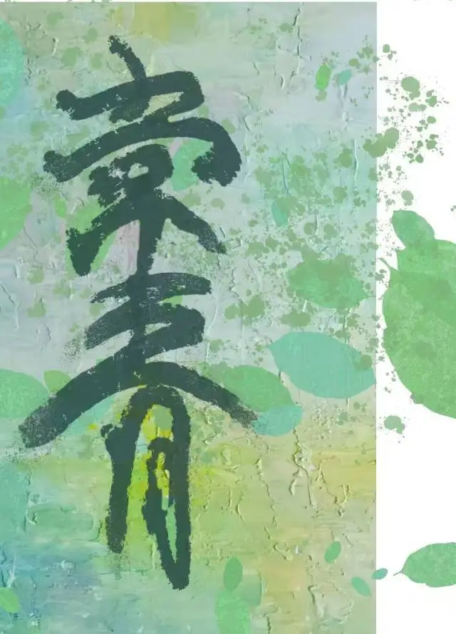 常青律师事务所怎么样