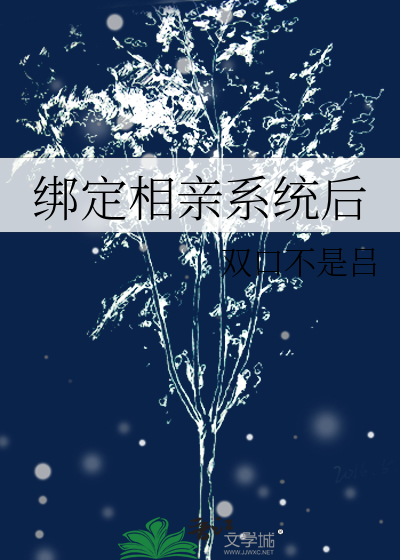 相亲评分系统