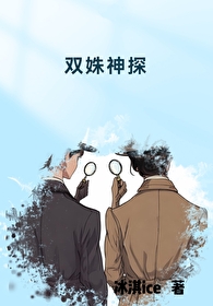 神探双骄原著