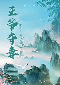 王爷夺嫡记免费阅读