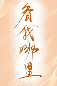 你的鱼换我来钓小说