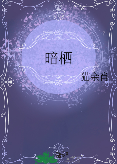 暗tv浏览器