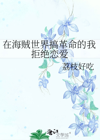 在海贼世界革命的小说