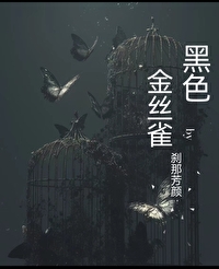 黑色金丝雀免费阅读
