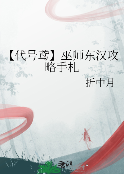 巫师攻略视频