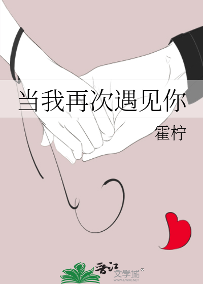 当我再次遇见你小说