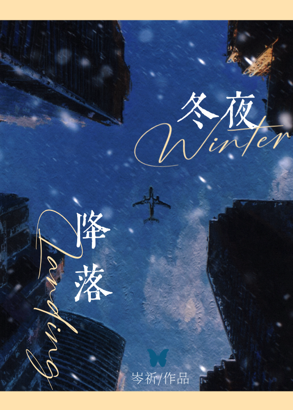 在冬夜降落免费观看