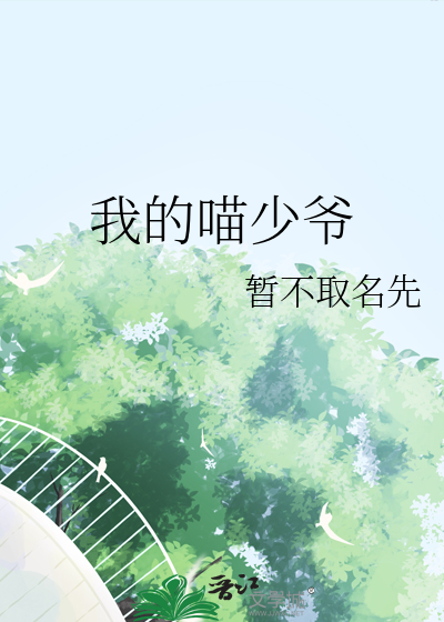 我的少年猫