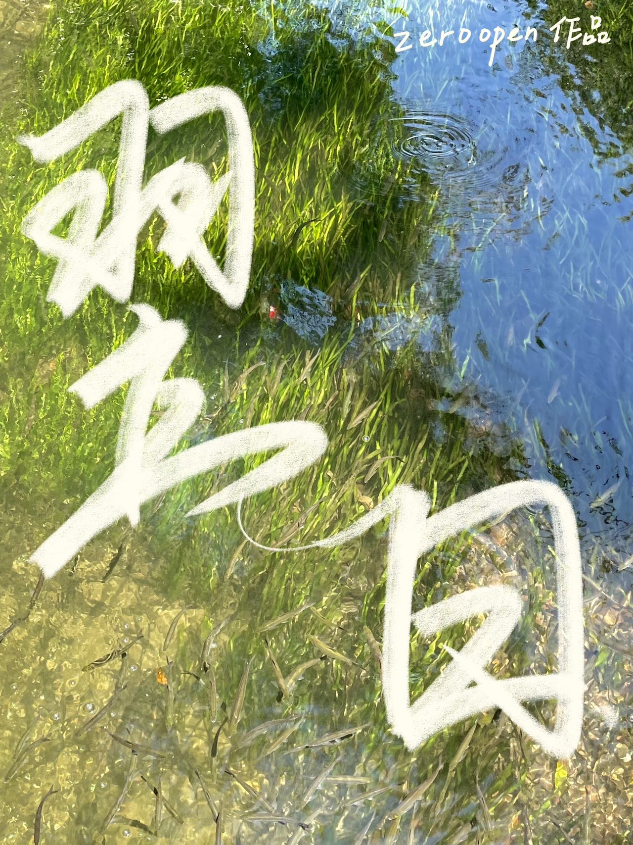 翌日读音