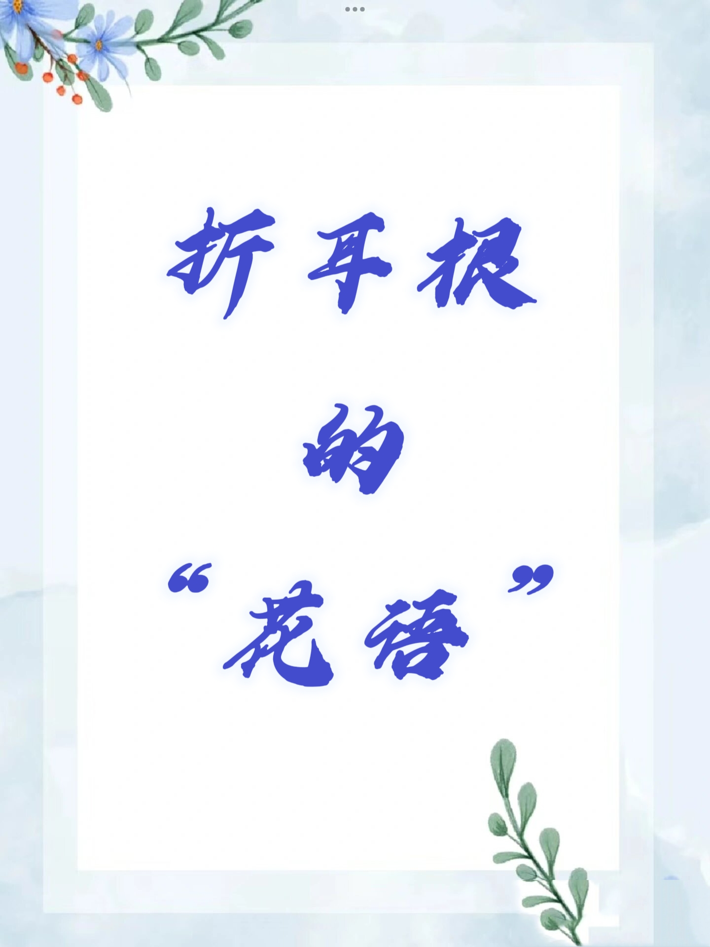 折耳根的花语是啥
