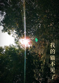 我的猫不见了是什么意思