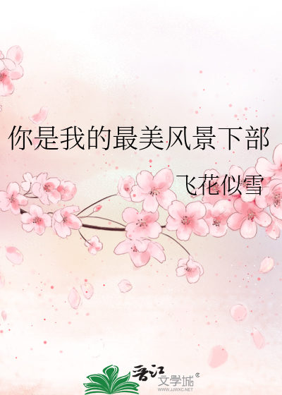 你是我的最美风景下部电视剧