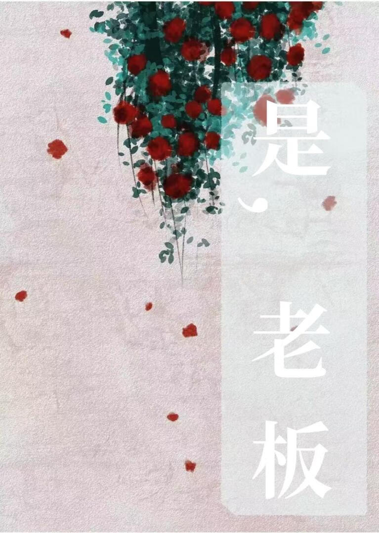 是老板电视剧免费观看高清