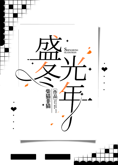 盛冬小说