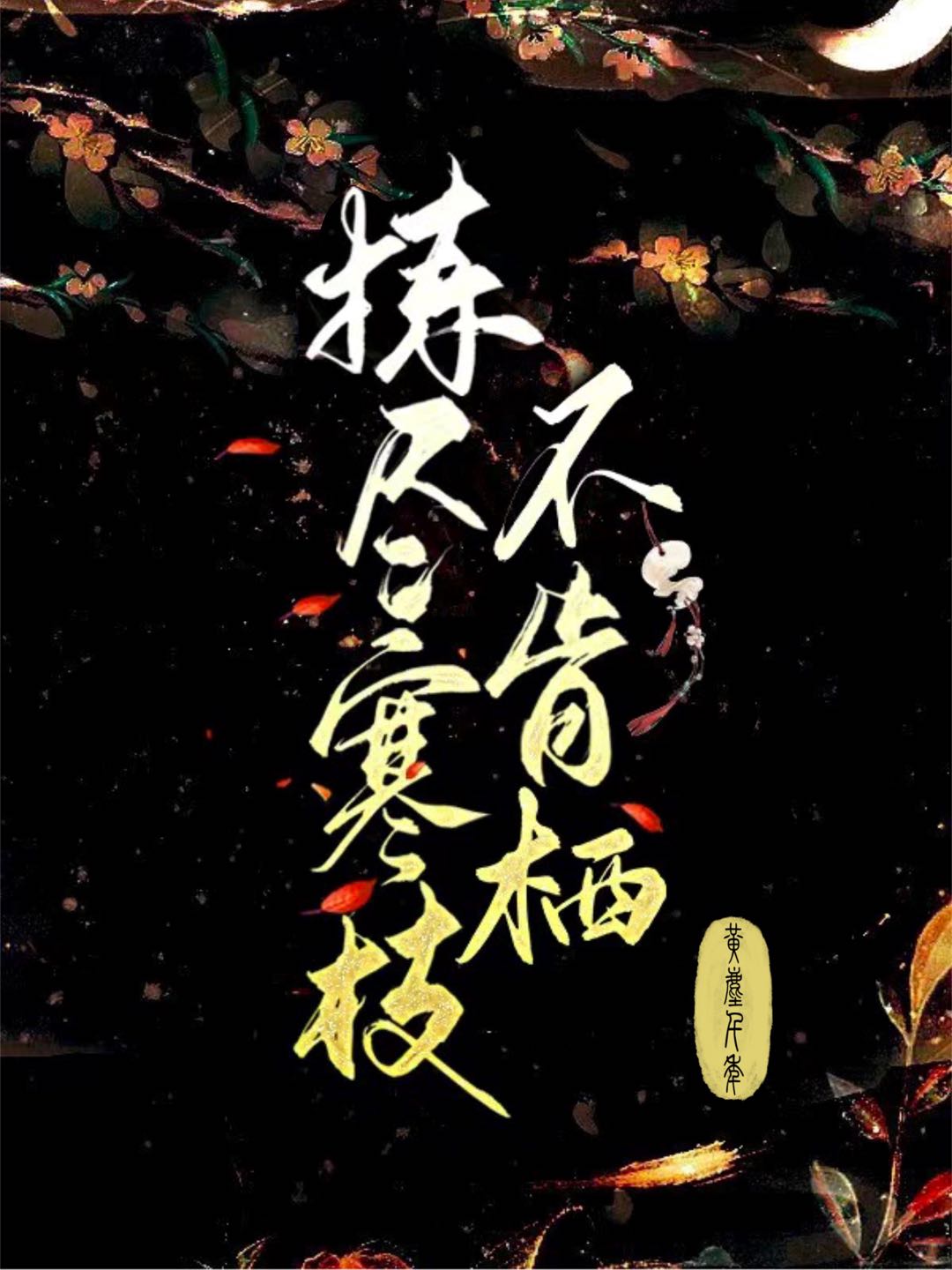 拣尽寒枝不肯栖寂寞沙洲冷的意思