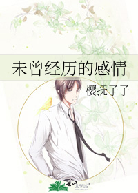 未曾经历的感情 钢琴曲