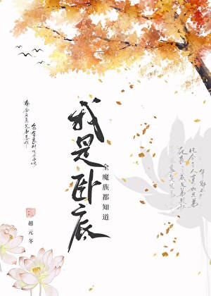 完本小说