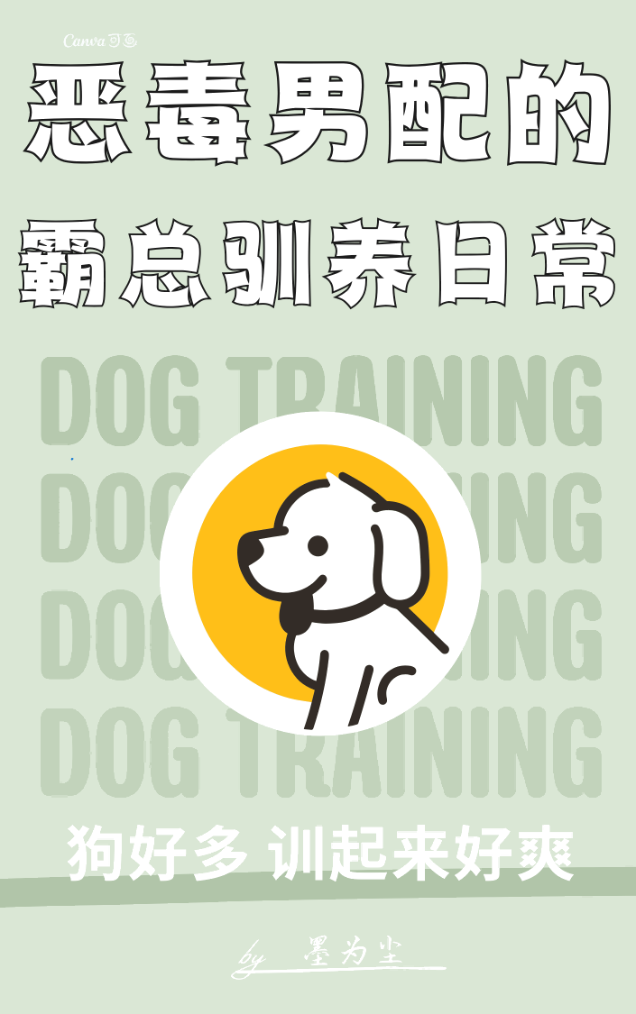 卫衣 猫
