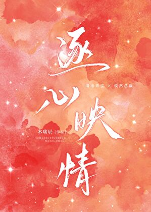 美瓷是哪国品牌